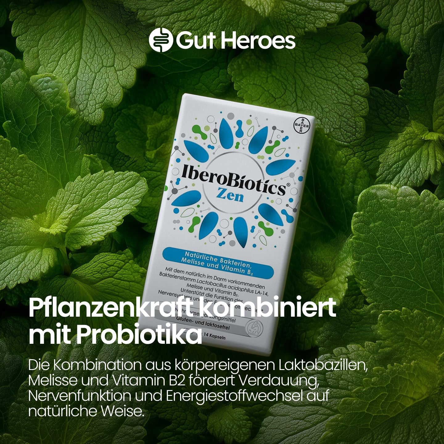 IberoBiotics® Zen